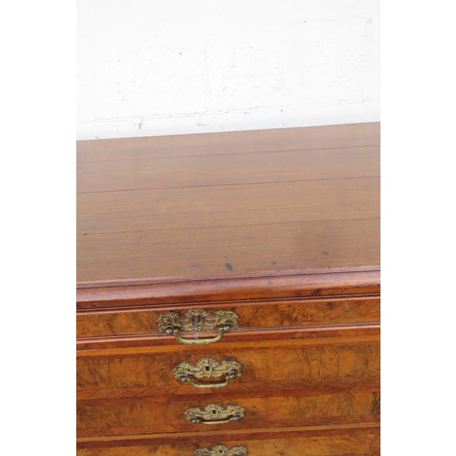 Early 1800s Burlwood Low Dresser 6231 For Sale - Image 16 of 18