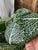 Large Earthenware Tureen in the shape of Cabbage Leaves, 1970s For Sale - Image 3 of 18