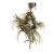 Celestial Meets the Sea Floral Arrangement For Sale