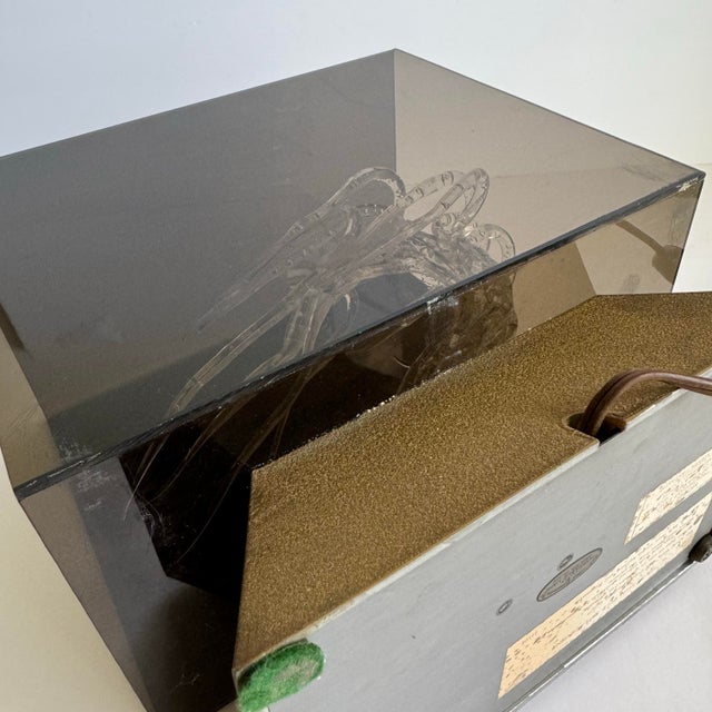 Mid Century Lucite Shadowbox Lamp Hand Formed Tree Sculpture Showcase the Lights Fantastic For Sale - Image 9 of 11