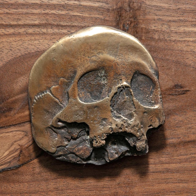 Flat Skull by Dana Younger | Bronze and Walnut sculpture of a flat skull design For Sale
