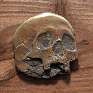 Flat Skull by Dana Younger | Bronze and Walnut sculpture of a flat skull design
