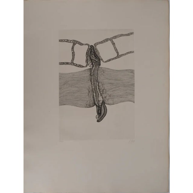 Fred Deux, Injury, Original Engraving For Sale - Image 6 of 6