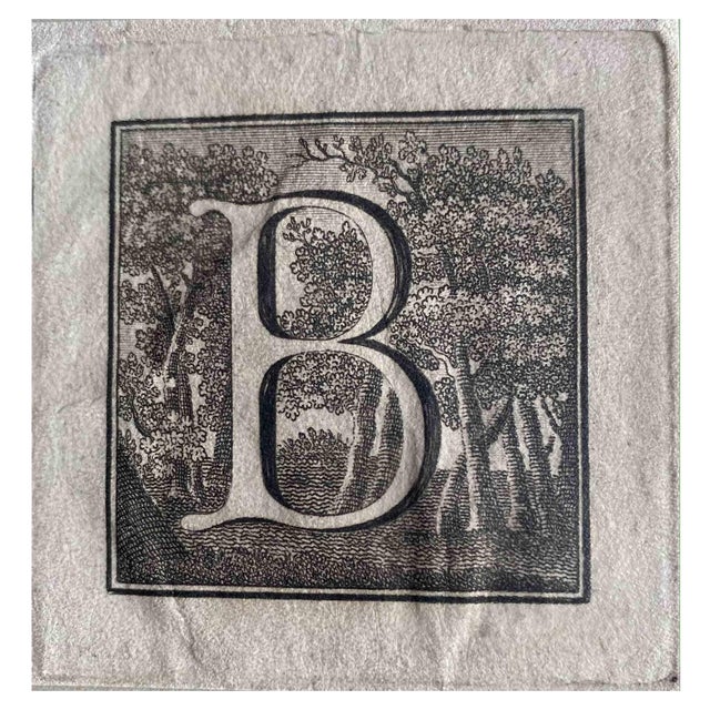 Carlo Nolli, Antiquities of Herculaneum: Letter of the Alphabet B, Etching, 18th Century For Sale