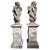 Italian Artist, Cherub Sculptures on Pedestals, 19th Century, Terracotta, Set of 2 For Sale - Image 12 of 12