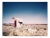 Camel Graffiti, British Photograph, Desert, 2005 For Sale