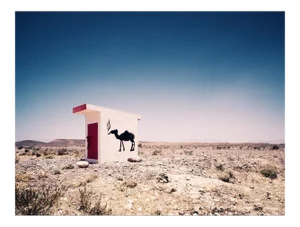 Camel Graffiti, British Photograph, Desert, 2005