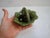 Very special rustic European small scale antique majolica piece with a cabbage, fig, or grape leaf basket stacked with...