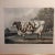 Antique print titled 'The Everingham Short Horned Prize Cow'. Aquatint of prize cattle. Engraved by J.Harris after a...