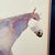 Wood Carol Grigg Native American Watercolor Lithographs, 1980s - A Pair For Sale - Image 7 of 12