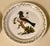 English Vintage Portmeirion Birds of Britain Rose Coloured Starling Luncheon Plate - Floral Band For Sale - Image 3 of 3