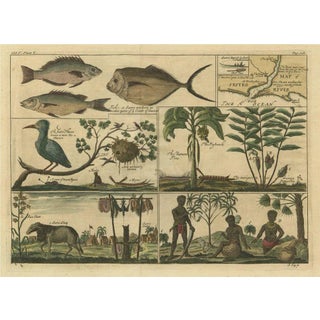 Kip after A. Churchill, Life Near the Sestro River, Liberia in Africa, 1744, Print For Sale