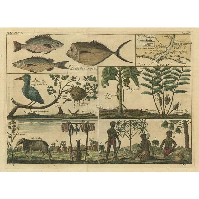 Kip after A. Churchill, Life Near the Sestro River, Liberia in Africa, 1744, Print For Sale