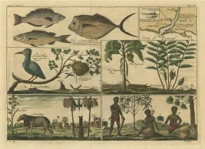 Kip after A. Churchill, Life Near the Sestro River, Liberia in Africa, 1744, Print