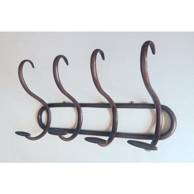 Vintage Wall Coat Rack in Bentwood, 1950s, in Very Good conditions. Designed 1950 to 1959
