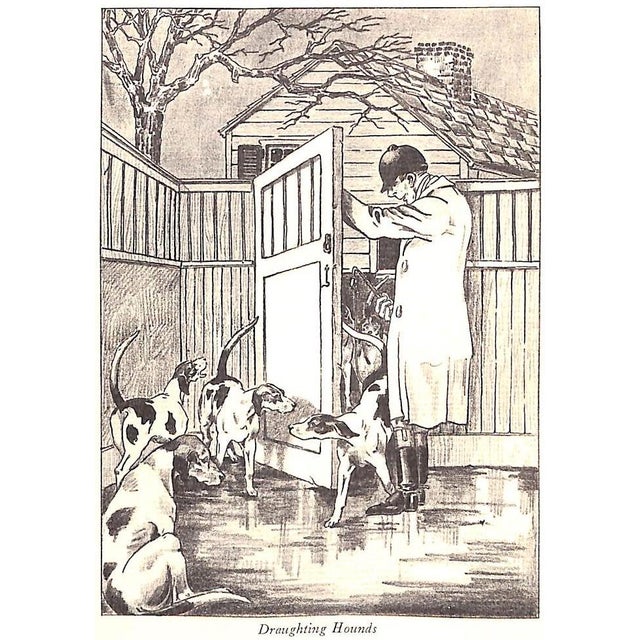 "Let's Ride to Hounds" 1929 Hunter, Anole For Sale In New York - Image 6 of 8