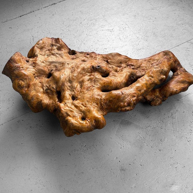 Brown Wabi Sabi Burl Wood Decoration, Japan, 1950s For Sale - Image 8 of 17