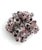 Purple Natural Barnacles Cluster For Sale - Image 8 of 8