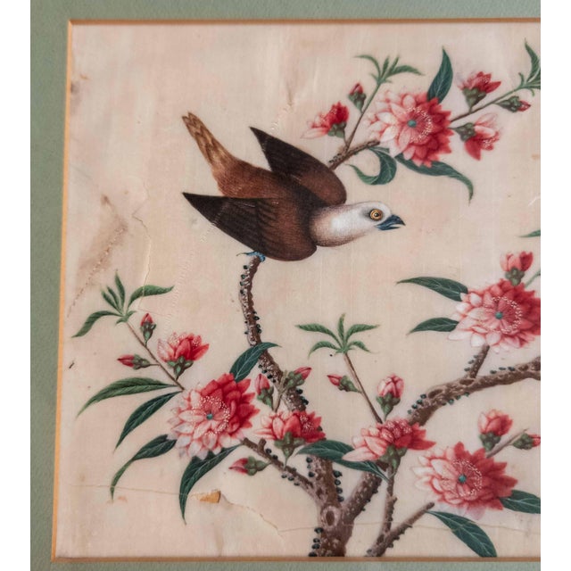 Green 19th or 20th Century Chinese Watercolor Pith Paper Painting of Birds Arguing For Sale - Image 8 of 16