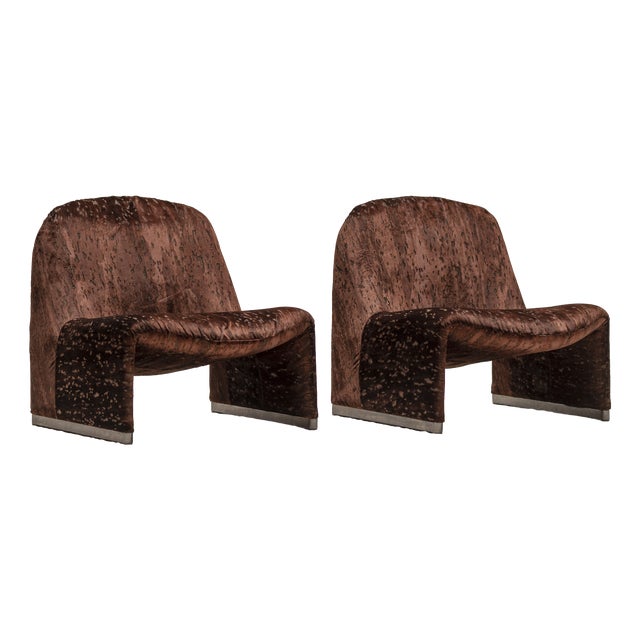 Alky Lounge Chairs by Giancarlo Piretti for Artifort, 1970s, Set of 2 For Sale