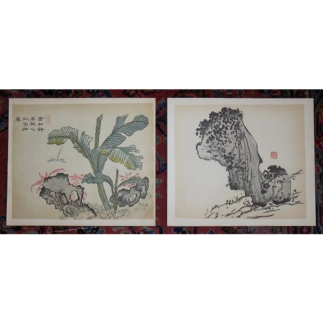 Green Vintage Signed Chinese Botanical Color Lithographs - a Pair For Sale - Image 8 of 8