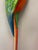 Macaws in Fiberglass & Epoxy, Italy, 1970s, Set of 2 For Sale - Image 13 of 18