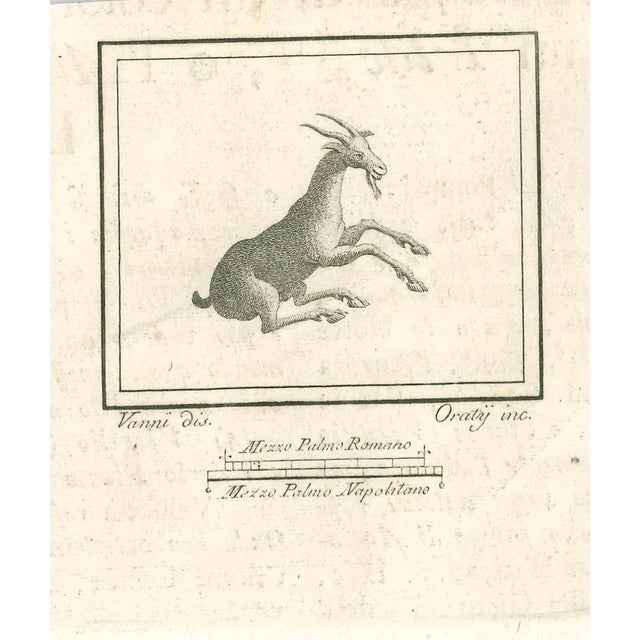 Roman Fresco from "Antiquities of Herculaneum" is an etching on paper realized by Carlo Oraty in the 18th Century. Signed...