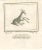 Roman Fresco from "Antiquities of Herculaneum" is an etching on paper realized by Carlo Oraty in the 18th Century. Signed...