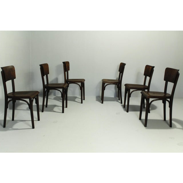 H-48 Pub Chairs by Michael Thonet for Thonet, 1920s, Set of 6 For Sale - Image 17 of 17