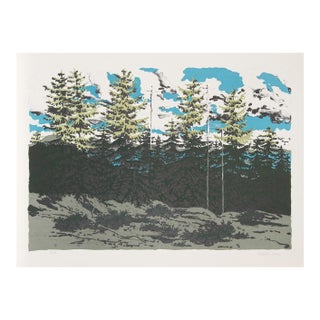 From Zeke’s Place (Maine Landscape), Signed Lithograph by Neil Welliver For Sale