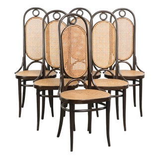 Vintage Long John Webbing Dining Chairs from Thonet, Set of 6 For Sale