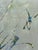 Getting Ready to Fly 15 x 2 x 12 Oil and cold wax on ampersand cradle board "Eve Ozer entered this world in a rebellious...
