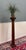 Antique French Oak Corinthian Column Pedestal Plant Stand Newel Post For Sale - Image 9 of 16