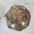 Pair of Brown Mid-Century Modern Murano Glass Sconces 1960s For Sale In Dallas - Image 6 of 12