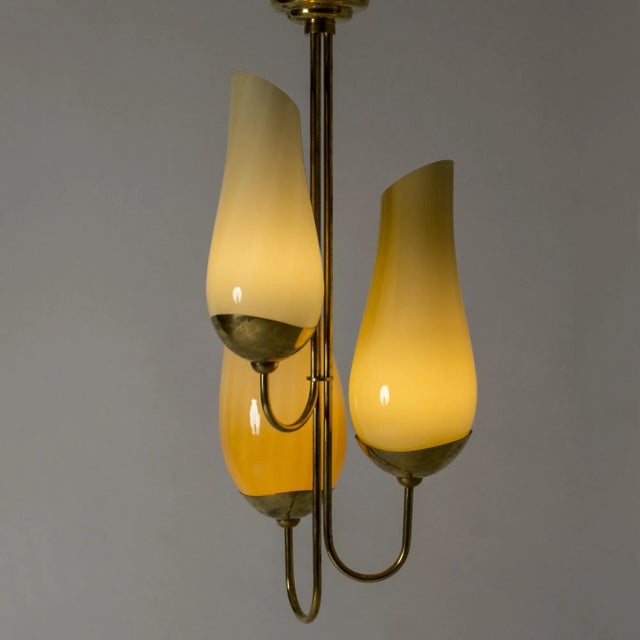 Captivating chandelier by Gunnel Nyman and Paavo Tynell, made from brass with light yellow glass shades. Impressive size....