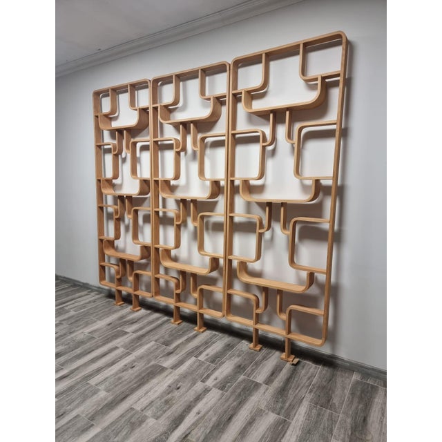 Room Dividers by Ludvik Volak for Drevopodnik Holesov, 1950s, Set of 3 For Sale - Image 16 of 17