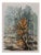 Jacques Noury, Reflections of Trees, Watercolor For Sale