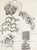 An abstract ink drawing by the American artist William Itter (1942-2025). This abstract work depicts an array of...