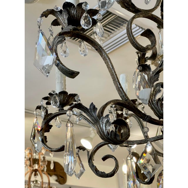19th C Style Italian Wrought Iron & Crystal Chandelier For Sale In Los Angeles - Image 6 of 8