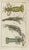 Title: Rare Antique Natural History Prints Featuring Crustaceans, Marine Life, and Detailed Insects : This exquisite set...