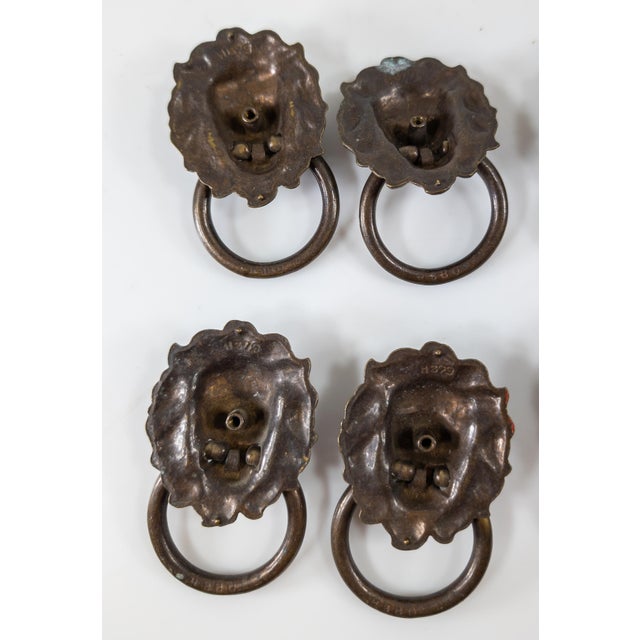Early 20th Century Set of 8 Lion Head Form Drawer Handle Pulls For Sale - Image 11 of 13