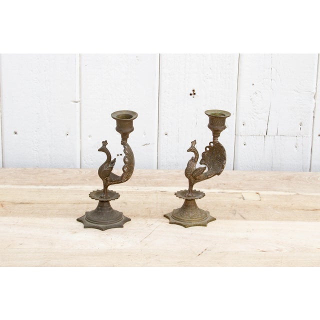 Pair of Engraved Brass Peacock Candle Holders Chairish