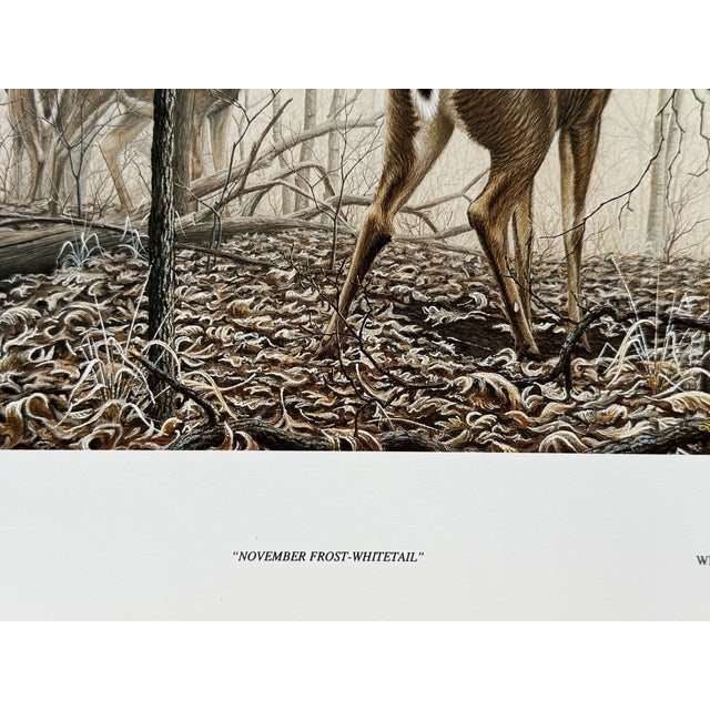 Art Deco 1980s November Frost - Whitetail Deer Larry Zach Deer on Frosty Morning Signed Print For Sale - Image 3 of 5