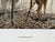 Art Deco 1980s November Frost - Whitetail Deer Larry Zach Deer on Frosty Morning Signed Print For Sale - Image 3 of 5