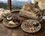 Pair Ammonite Plates Natural Fossil 4.5" For Sale - Image 4 of 15