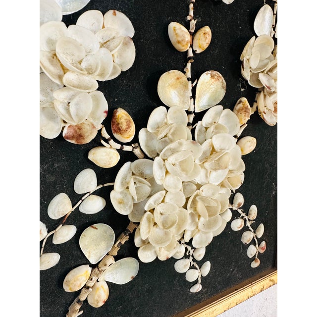 Vintage Shell Art Mural For Sale - Image 9 of 9