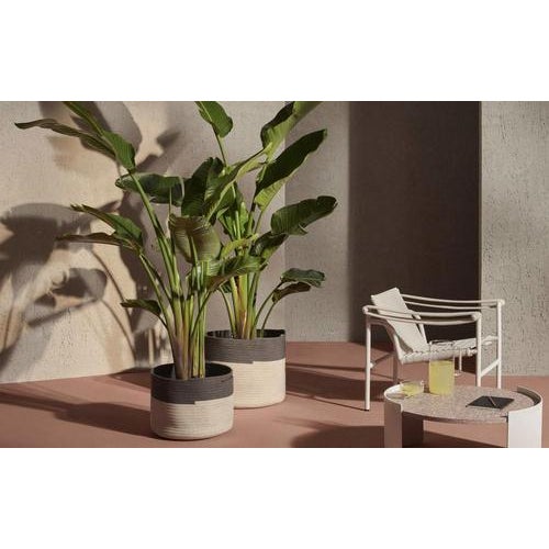 Beige Podor Outdoor Accessories from Cassina, Italy, Set of 2 For Sale - Image 8 of 9