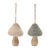 Bring whimsical woodland charm to your holiday decor with the Felt Fabric Mushroom Ornament Set. Featuring two assorted...