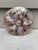 Late 19th Century 19th Century Majolica Oyster Plate S. Fielding and Co For Sale - Image 5 of 5