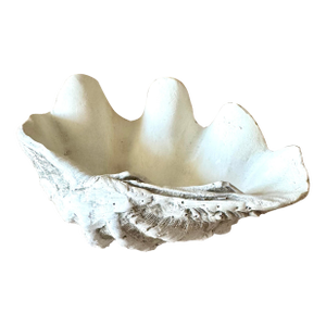 Vintage Realistic Ceramic Clam Shell Bowl – Sculptural Coastal Decor Dish
